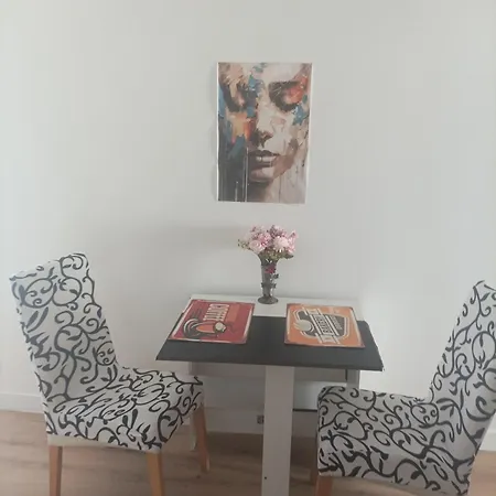 公寓 T2 Cosy, Agreable Fonctionnel Et Douillet, 1 Lit 140 Et Un Bz , Wifi Gratuit, Boite A Cles, Proche Commerces Et Gare Routiere *