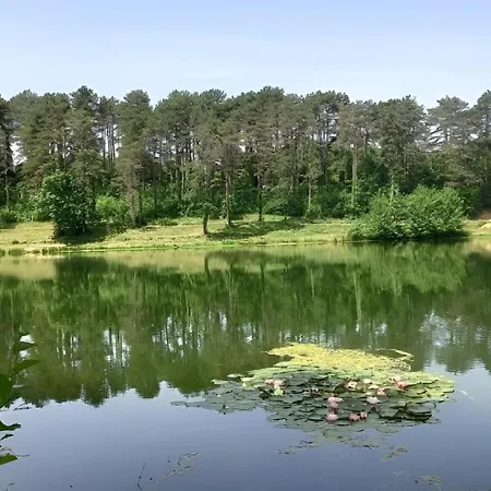 T2 Cosy, Agreable Fonctionnel Et Douillet, 1 Lit 140 Et Un Bz , Wifi Gratuit, Boite A Cles, Proche Commerces Et Gare Routiere 公寓 *