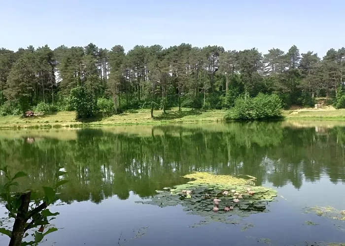 T2 Cosy, Agreable Fonctionnel Et Douillet, 1 Lit 140 Et Un Bz , Wifi Gratuit, Boite A Cles, Proche Commerces Et Gare Routiere Daire *